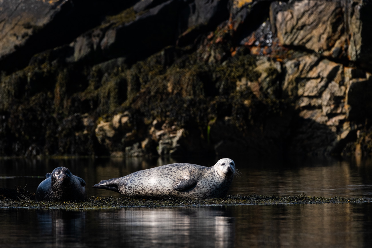 The pool at Una St Ives in Cornwall - part of the facilities for our creative retreat. 