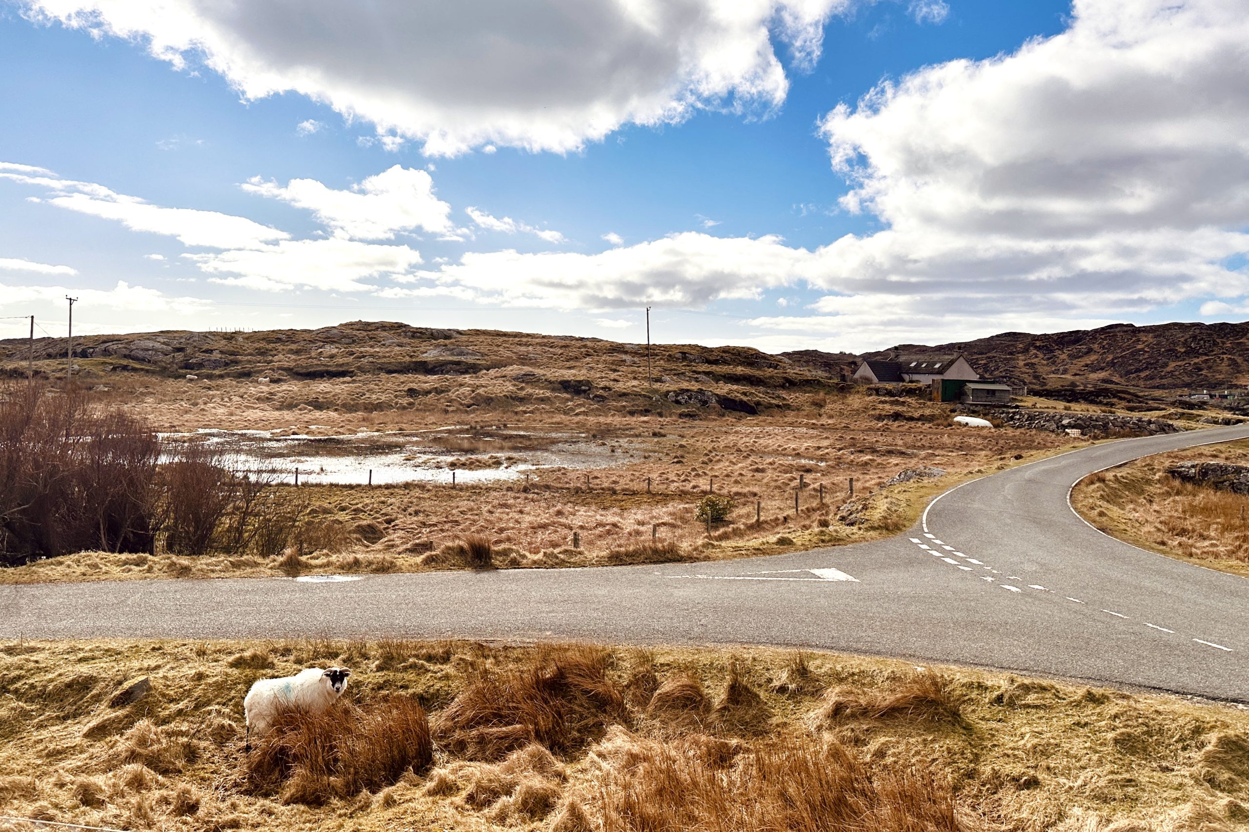 The pool at Una St Ives in Cornwall - part of the facilities for our creative retreat. 