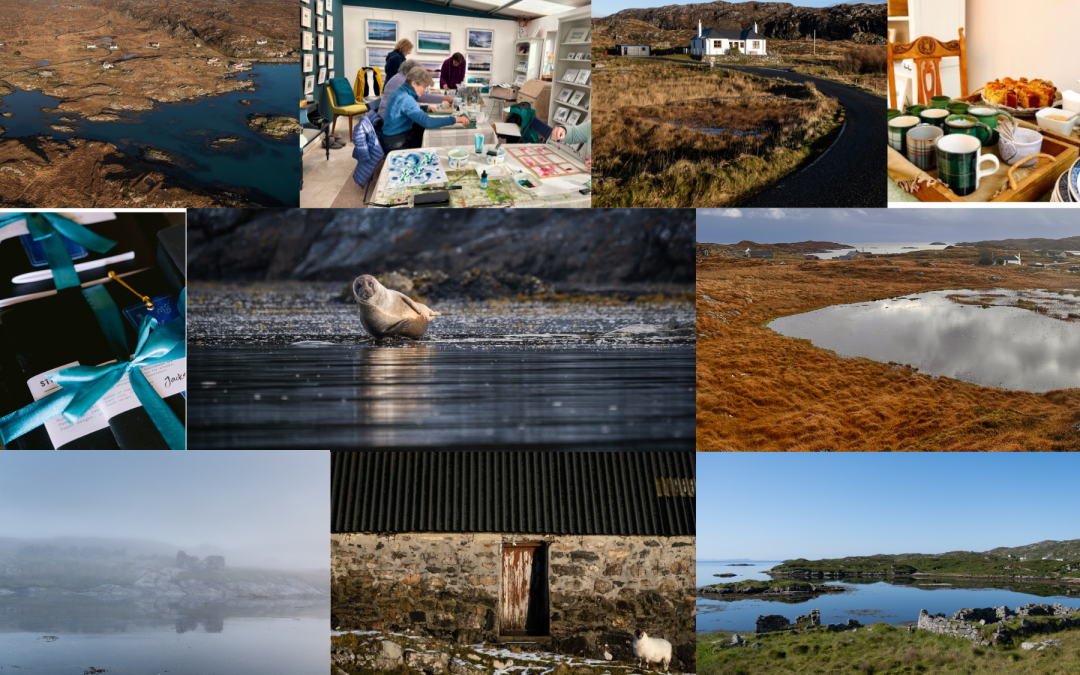 Nature Journalling workshop on the Isle of Harris