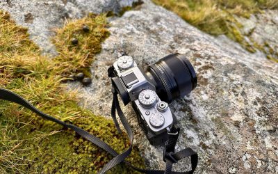 One Camera, One Lens and a Still Morning in the Bays