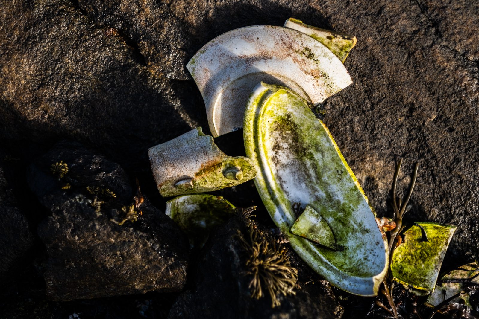 Broken old pottery covered in green algae among dark rocks at a shoreline midden on Harris
