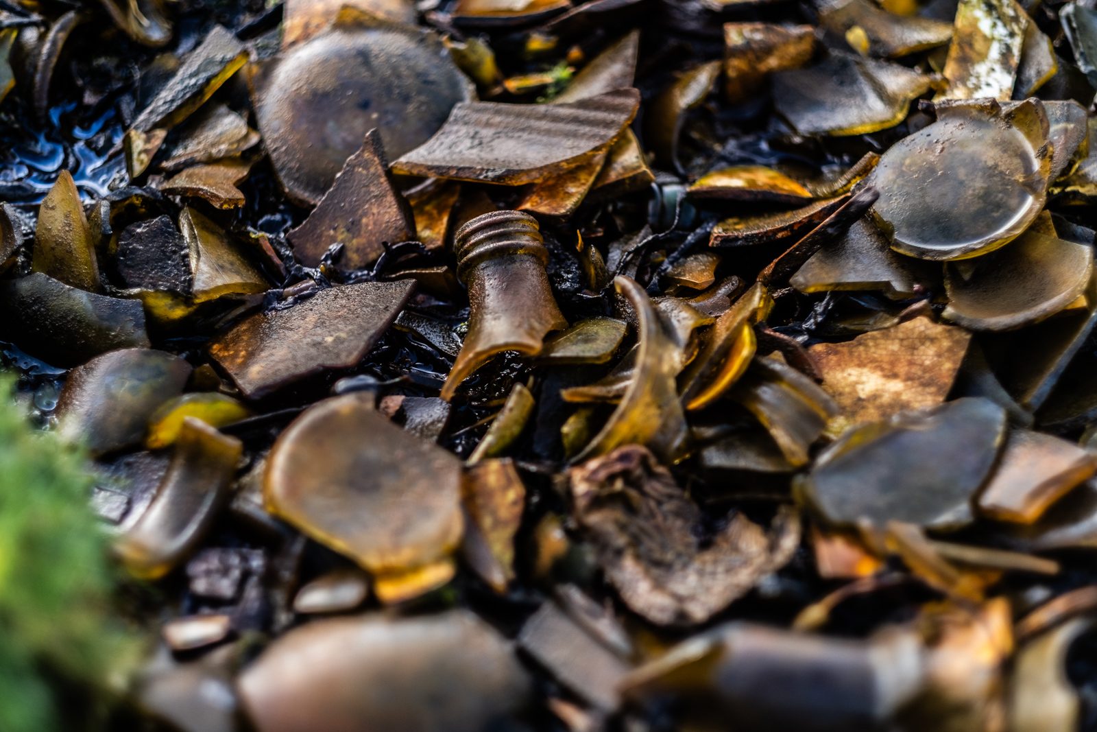 Shards and bases of old brown bottle glass worn by the tide at a midden on the Isle of Harris