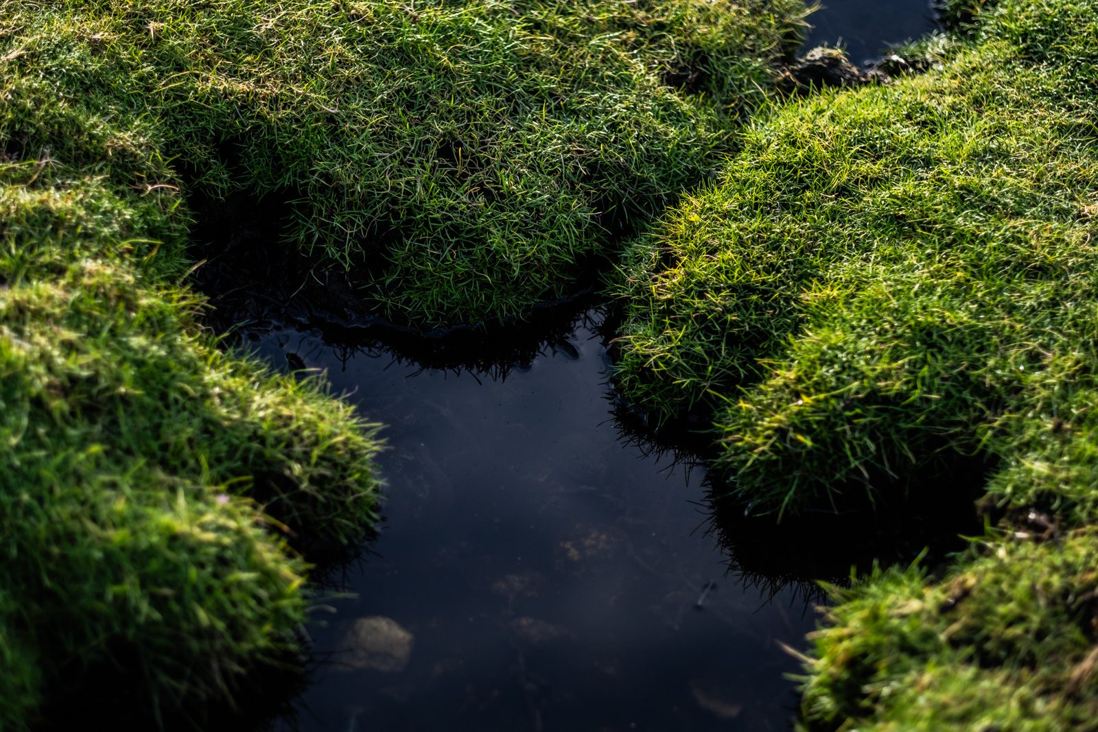 A small dark pool of water between mounds of bright green moss in the Bays of Harris